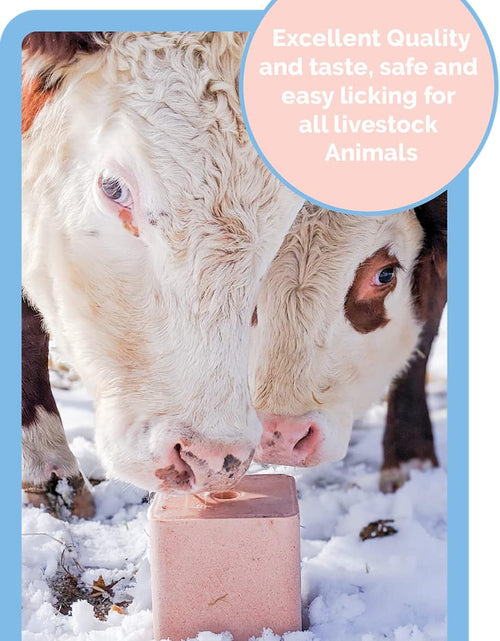 Load image into Gallery viewer, ® 5.5LB (2.5KG) Compressed Pink Himalayan Salt Lick | for Livestock and Wildlife Animals | 100% Pure &amp; Natural Feed Salt Block | Natural Minerals and Trace Elements
